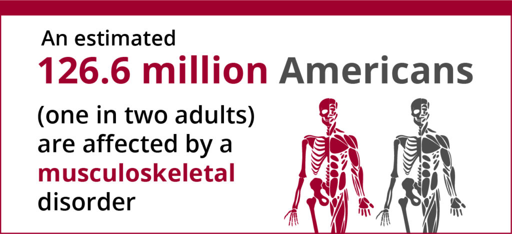 human body with skeletal and muscular groups cross cut that represents the 1 in 2 American adults affected by a musculoskeletal disorder