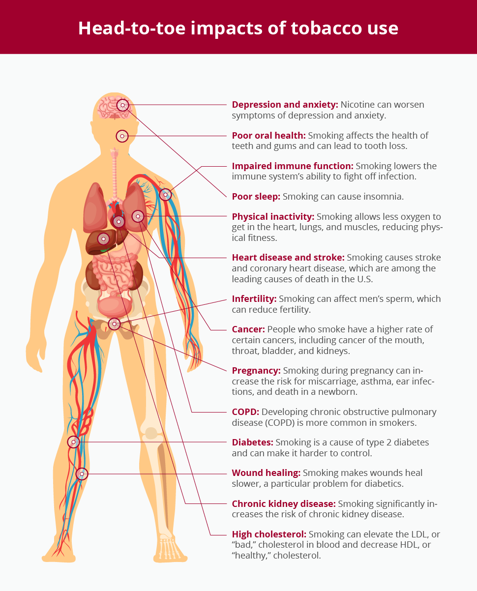 image of the impact of tobacco use on the human body