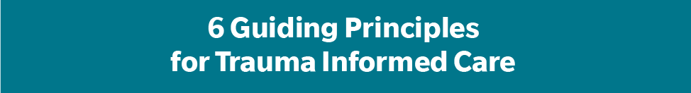 6 Guiding Principles for Trauma Informed Care