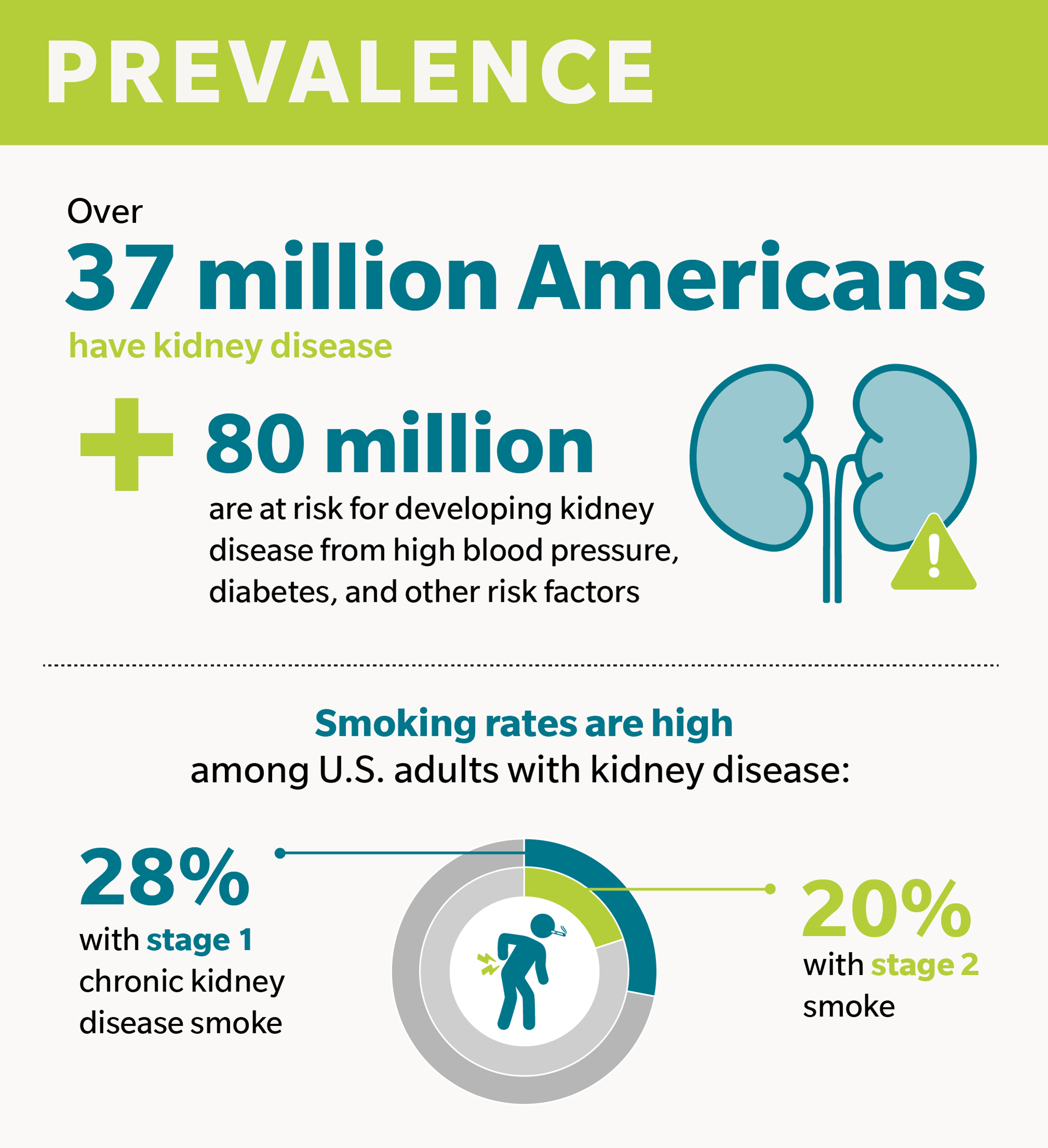 More than 37 million Americans have kidney disease, and another 80 million are at risk for developing kidney disease from high blood pressure, diabetes, and other risk factors. CDC data shows that smoking rates are high among people with kidney disease: 28% of U.S. adults with stage 1 chronic kidney disease and 20% with stage 2 smoke compared to 12% in the general population. 