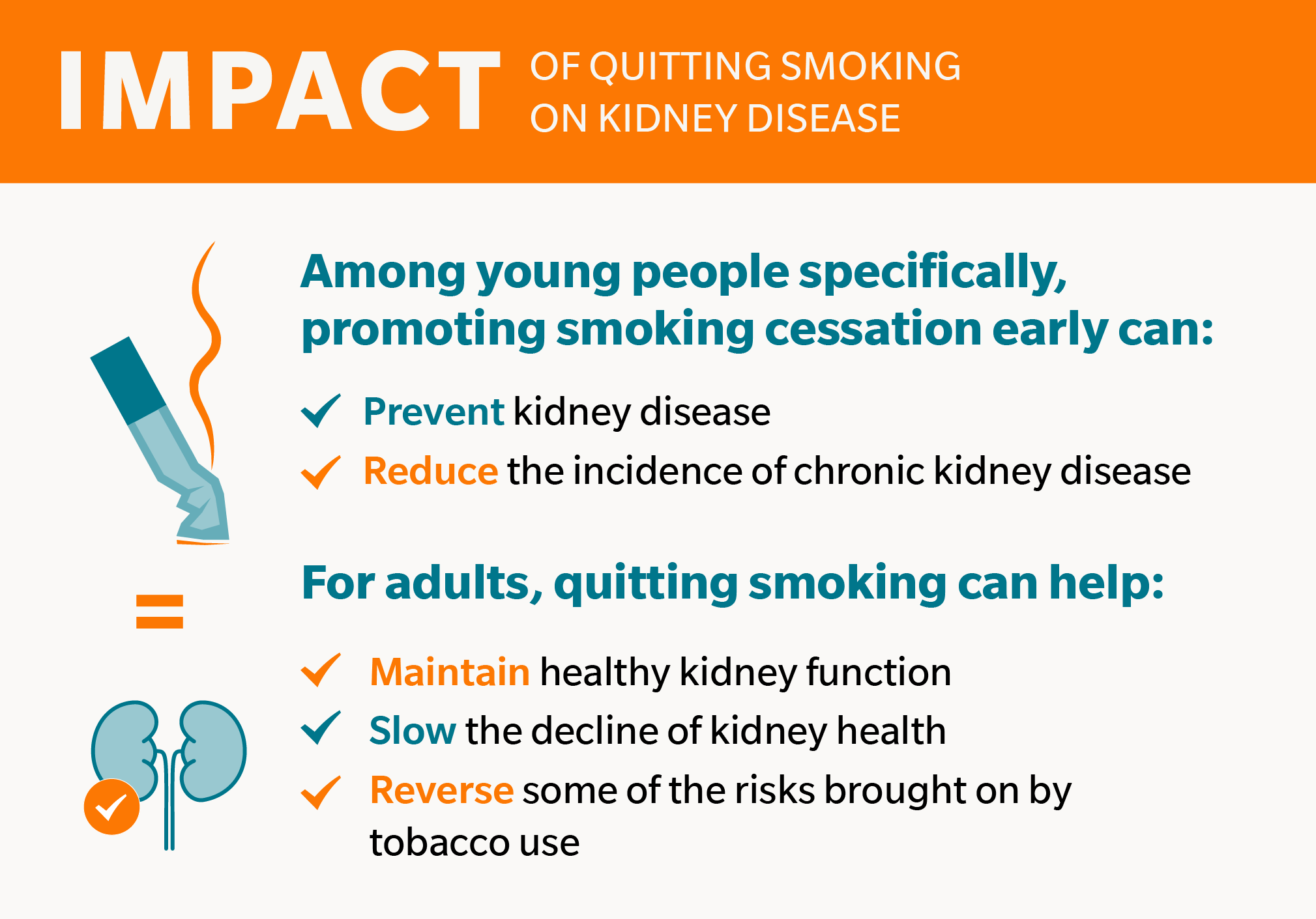 Among young people specifically, promoting smoking cessation early can prevent kidney disease and reduce the incidence of chronic kidney disease. For adults, quitting smoking can help maintain healthy kidney function, slow the decline of kidney health, and even reverse some of the risks brought on by tobacco use.